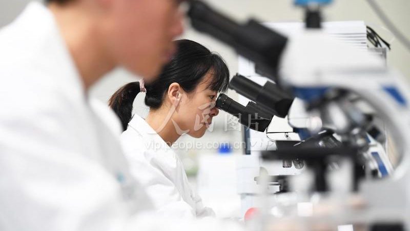 进口离心管报价单：揭秘价格差异背后的秘密**