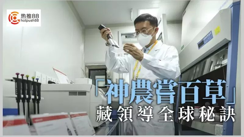 基因检测，精准医疗的利器：上海基因检测公司如何选择？**