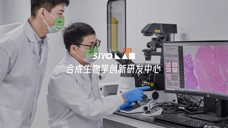 基因检测采样盒：揭秘其使用之道**