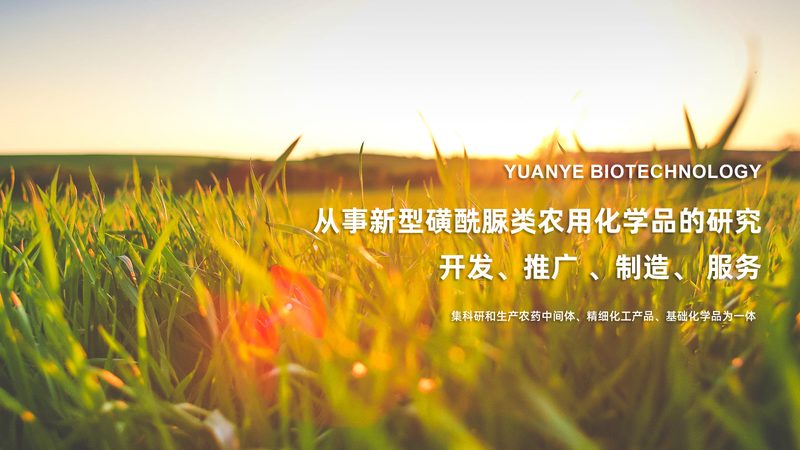 引物合成OD值与PCR扩增周期的关联解析