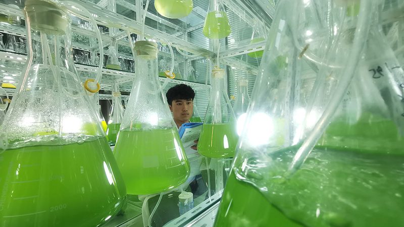 引物合成与HPLC纯化：揭秘精准合成背后的技术奥秘**